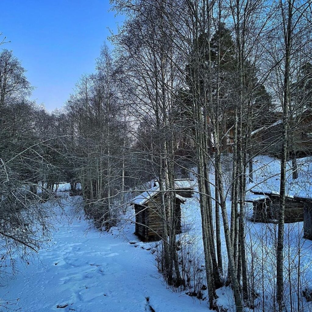 Vinterpromenad